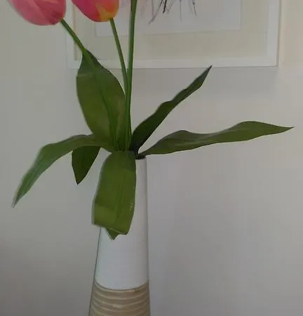Apartment Nel Cuore *